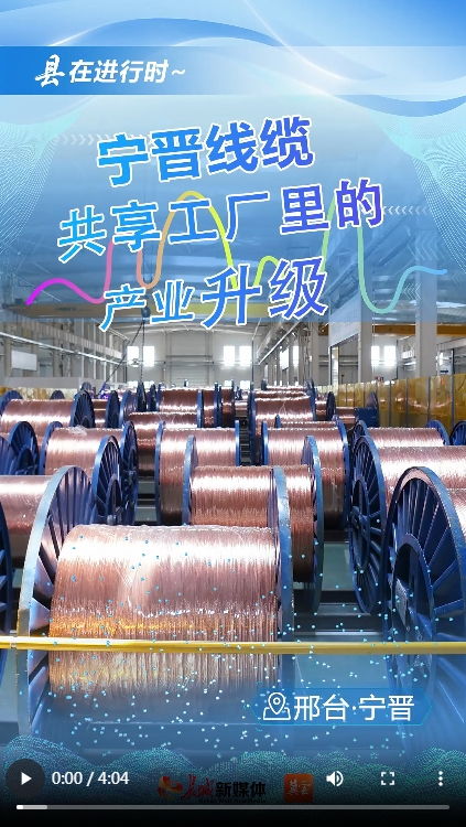产业升级新篇章 宁晋线缆共享工厂的变革之路