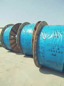 天联电缆WDZ-KY系列产品 天津电缆产业与河北工厂的协同发展